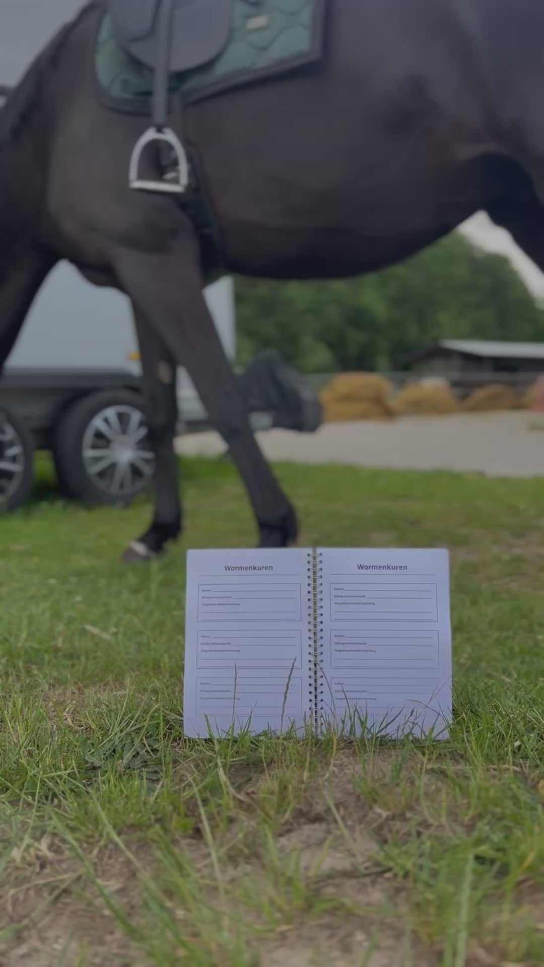 Video laden: 
